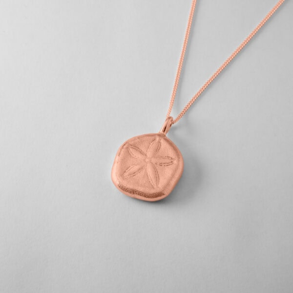 Queensland Sand Dollar - Image 7