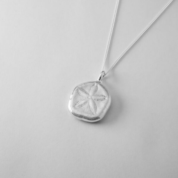 Queensland Sand Dollar