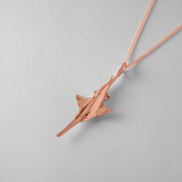 Sawfish - Image 6