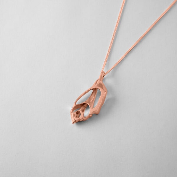 Sea Shell - Image 9
