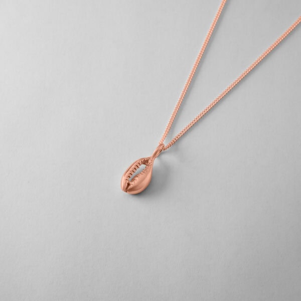 Small Cowrie Shell - Image 9