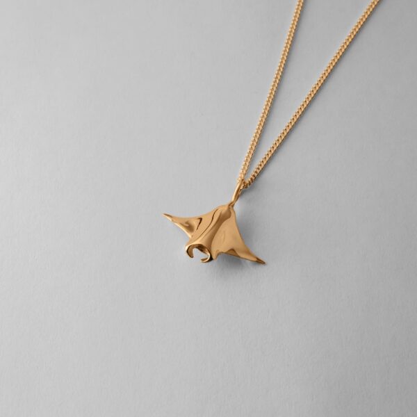 Small Manta Ray - Image 3