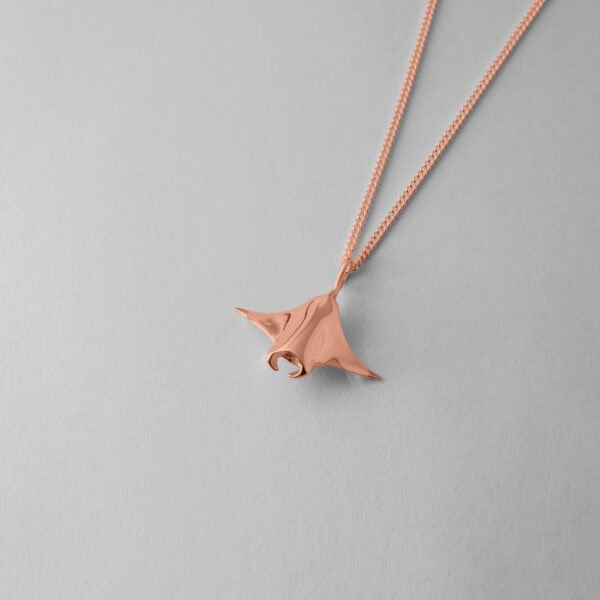 Small Manta Ray - Image 9
