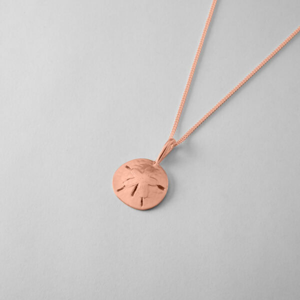 Small Sand Dollar - Image 6