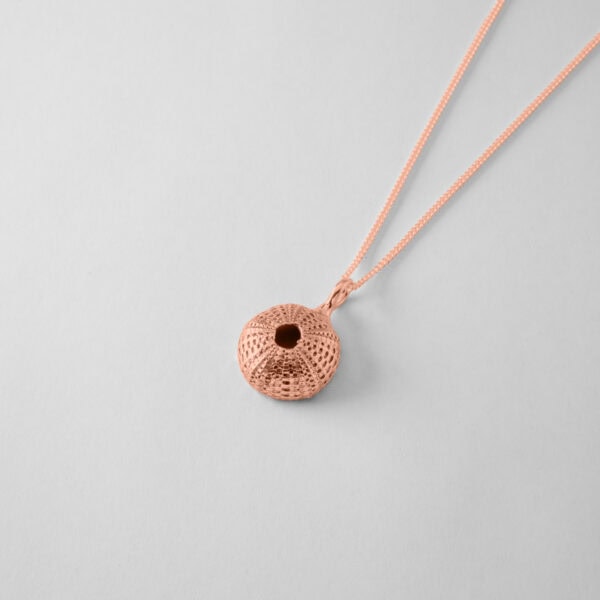 Small Urchin - Image 7