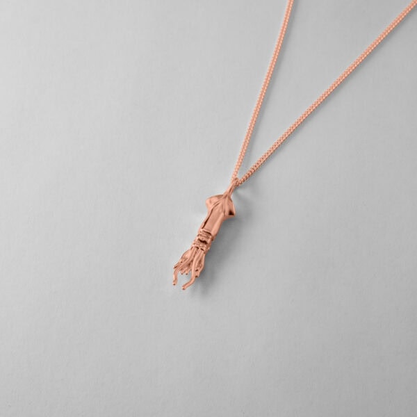 Squid - Image 7