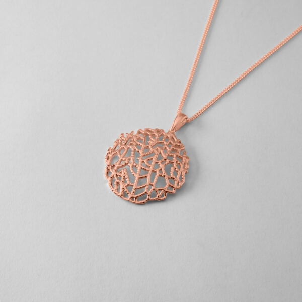 Venus Sea Fan Coral - Image 5