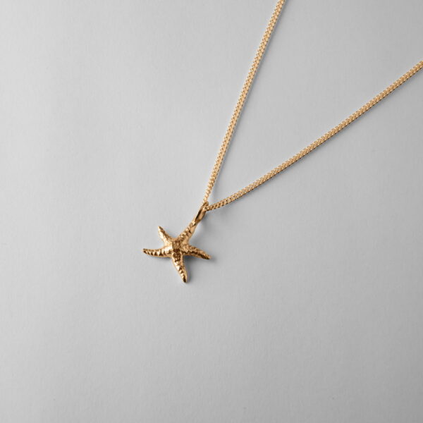Small Star Fish - Image 3