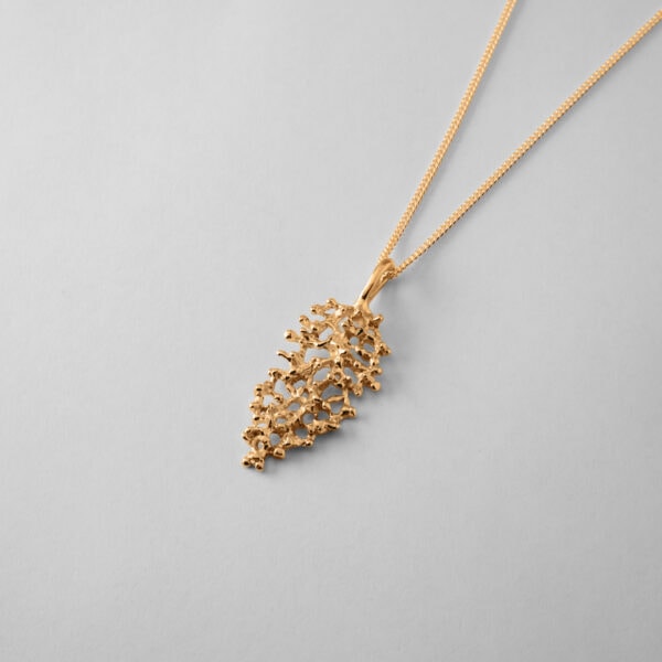 Crown Coral - Image 3