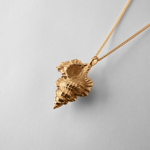 Large Kookaburra Shell - Image 3