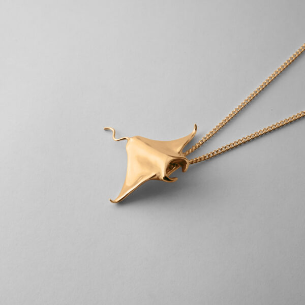 Large Manta Ray - Image 3