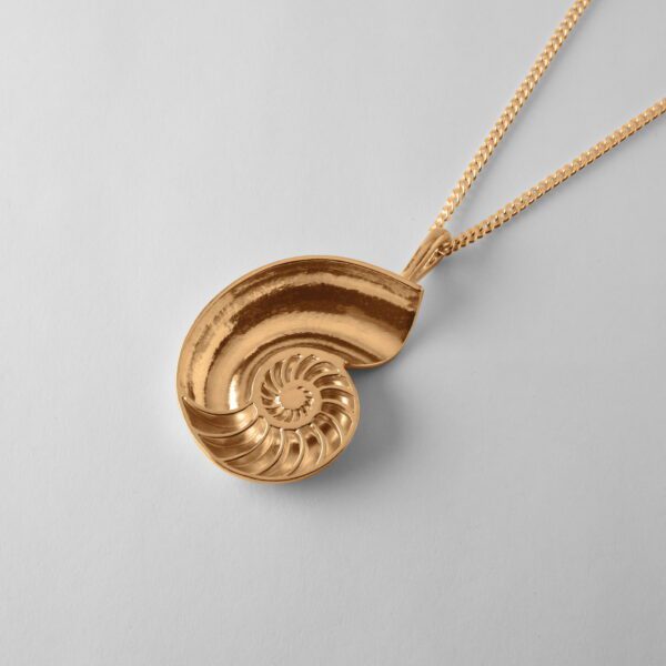 Large Nautilus Shell - Image 3