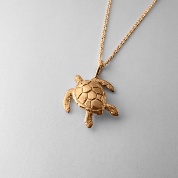 Large Turtle - Image 3
