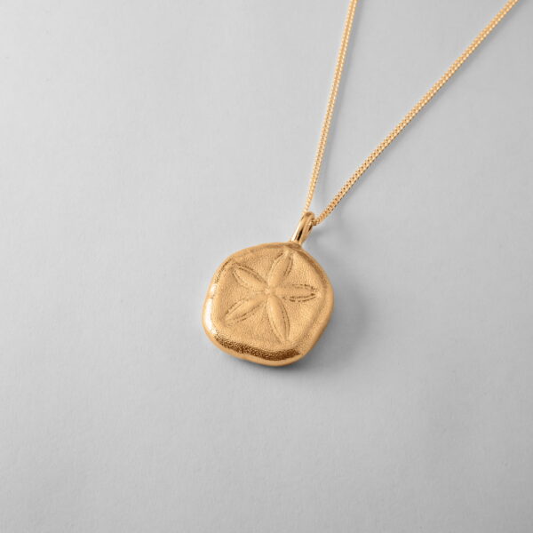 Queensland Sand Dollar - Image 3