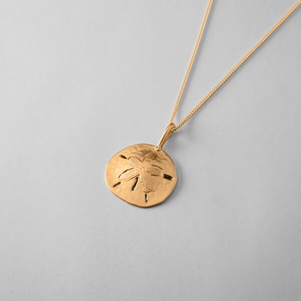 Large Sand Dollar - Image 3