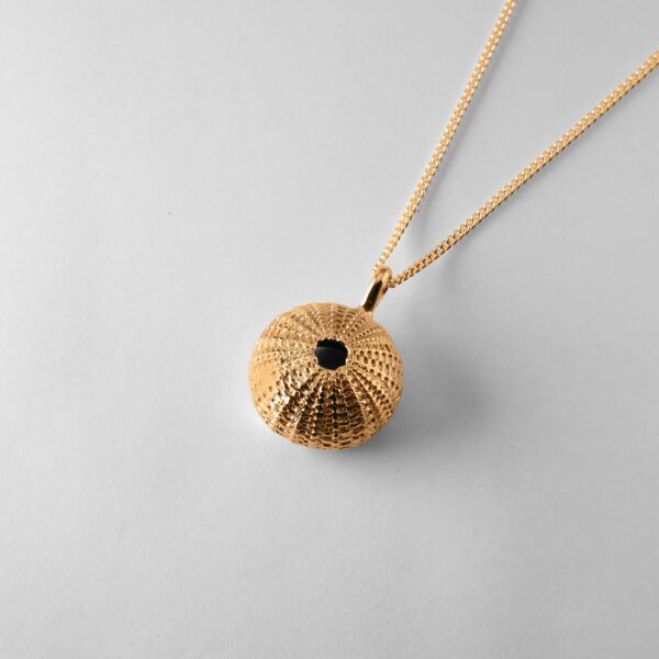 Large Urchin - Image 3