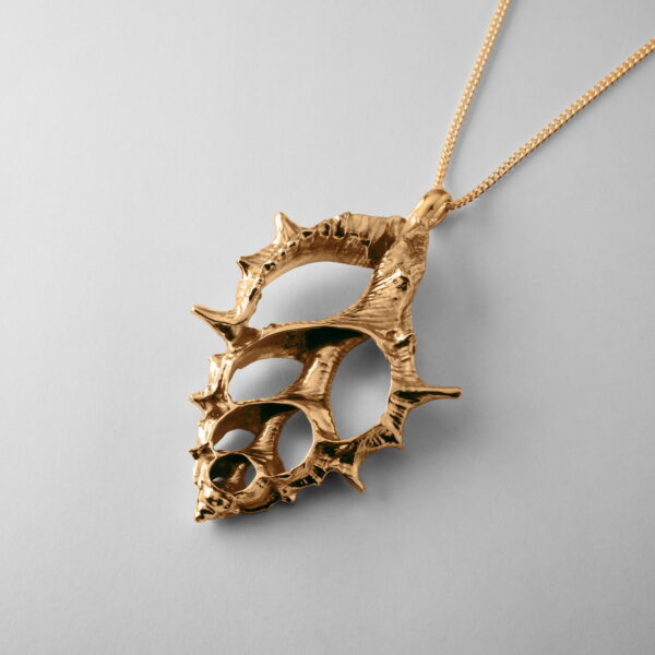 Maple Leaf Shell - Image 3