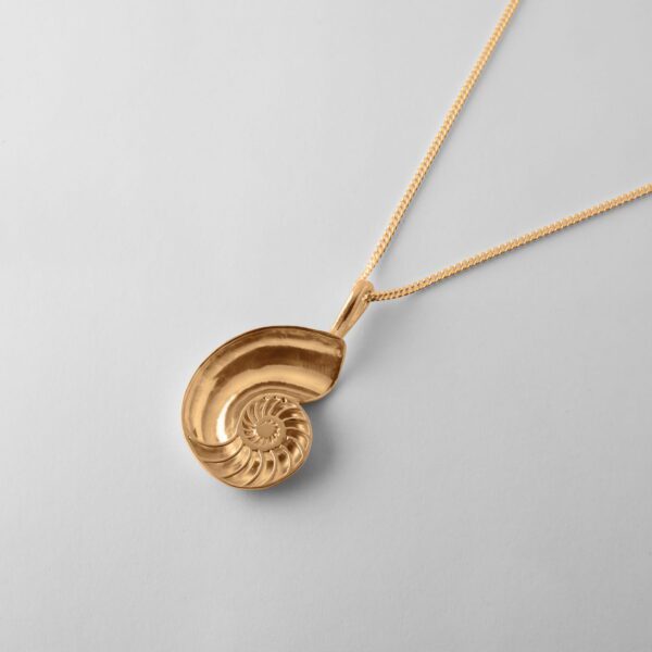 Medium Nautilus Shell - Image 3
