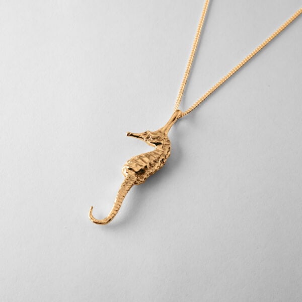 Medium Seahorse - Image 3