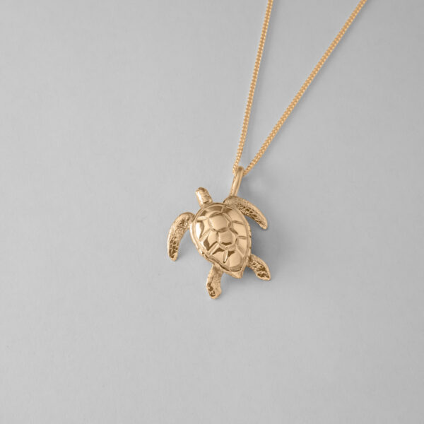 Medium Turtle - Image 3