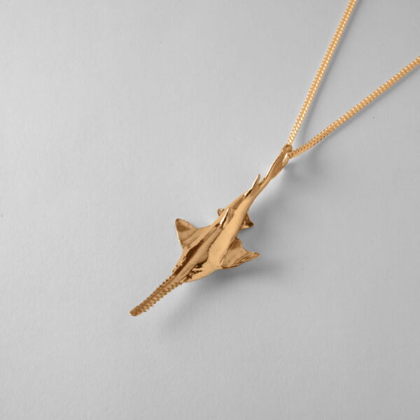 Sawfish - Image 3