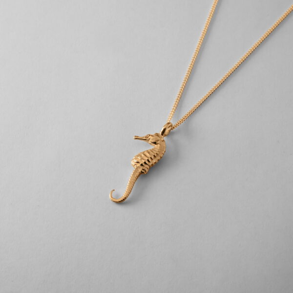 Small Seahorse - Image 3