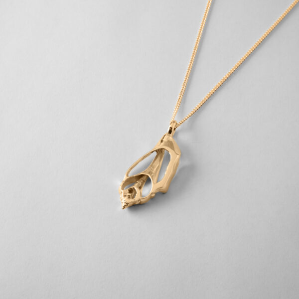Sea Shell - Image 3