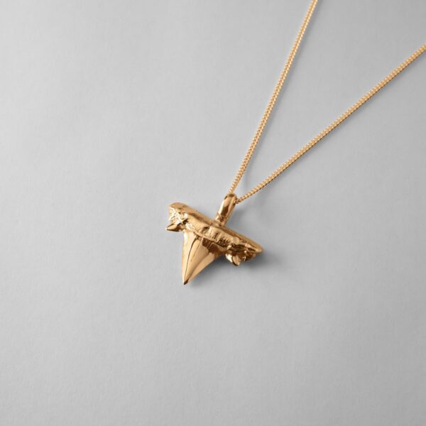 Shark Tooth - Image 3
