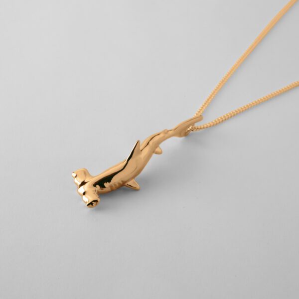 Small Hammerhead Shark - Image 3