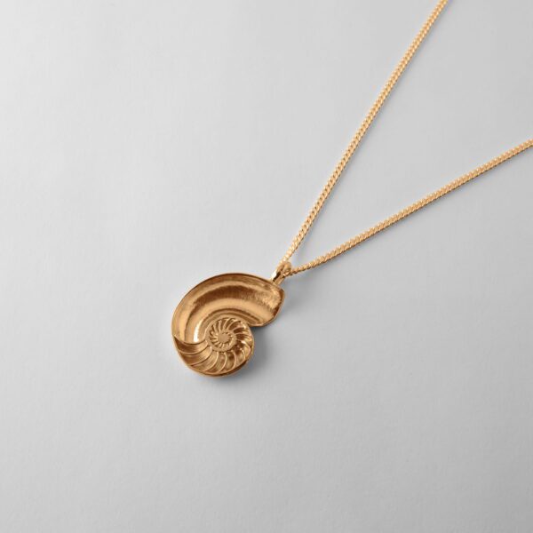 Small Nautilus Shell - Image 4