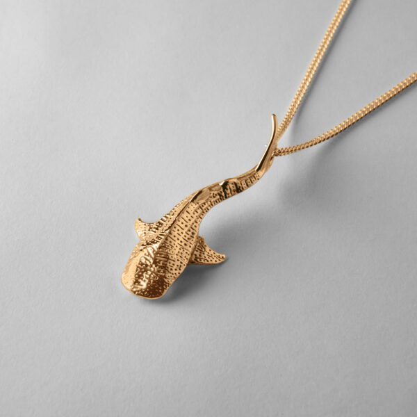 Small Whale Shark - Image 3