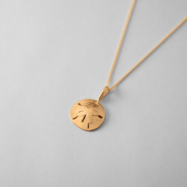 Small Sand Dollar - Image 3