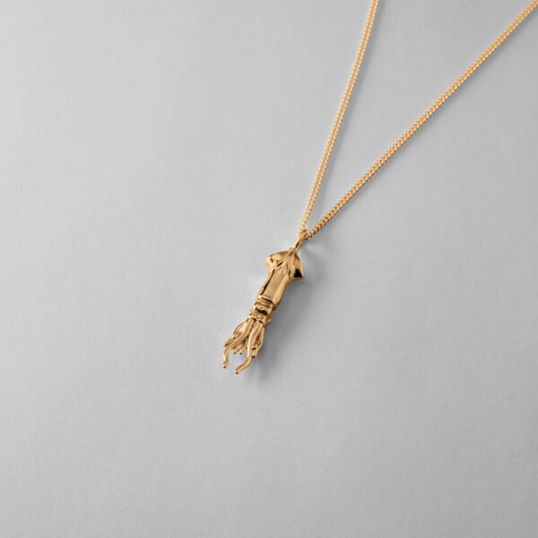 Squid - Image 3
