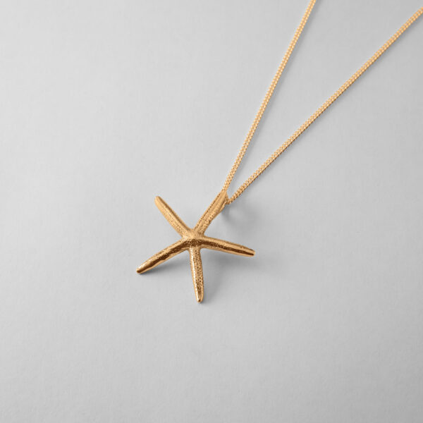 Large Starfish - Image 3