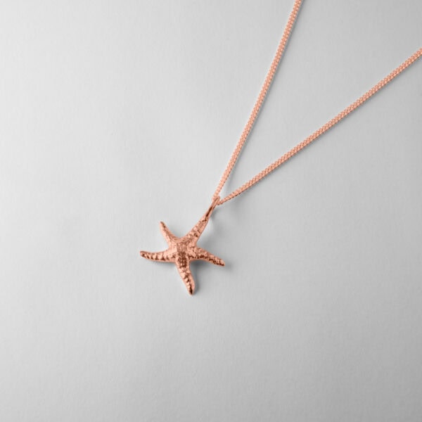 Medium Starfish - Image 5