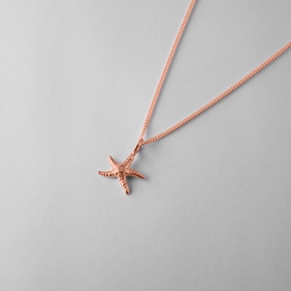 Small Star Fish - Image 7