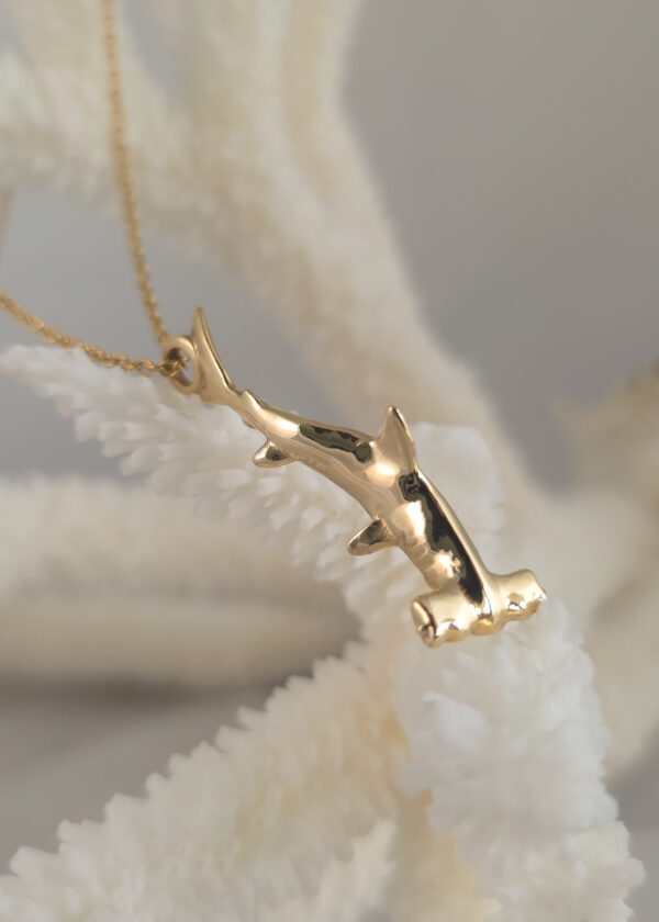 Small Hammerhead Shark - Image 7