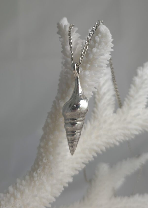Unicorn Horn Shell - Image 6