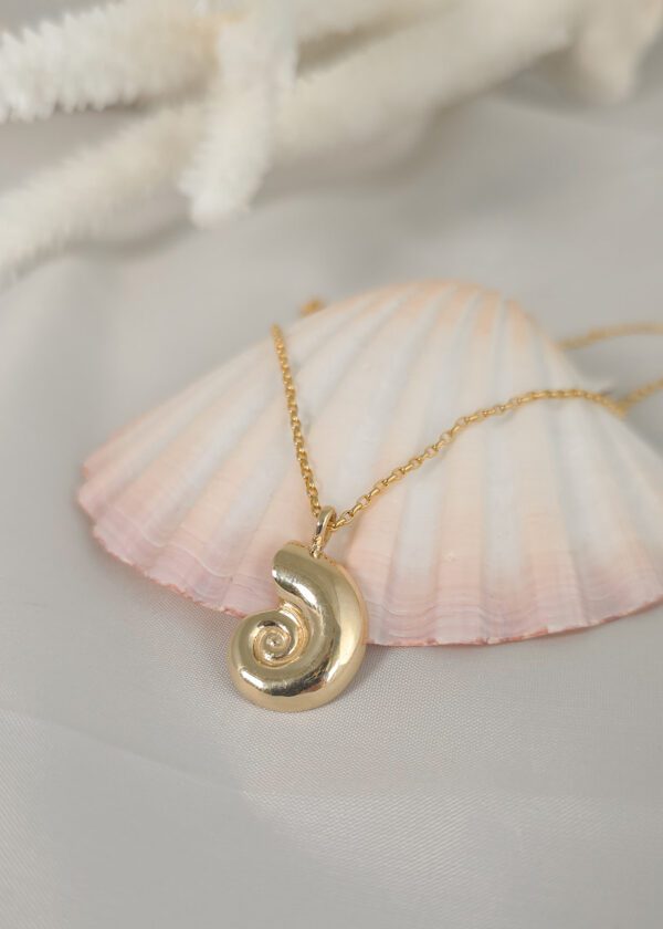 Small Nautilus Shell - Image 10