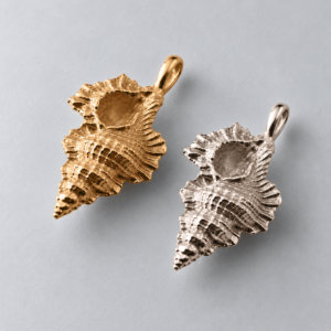 Large Kookaburra Shell
