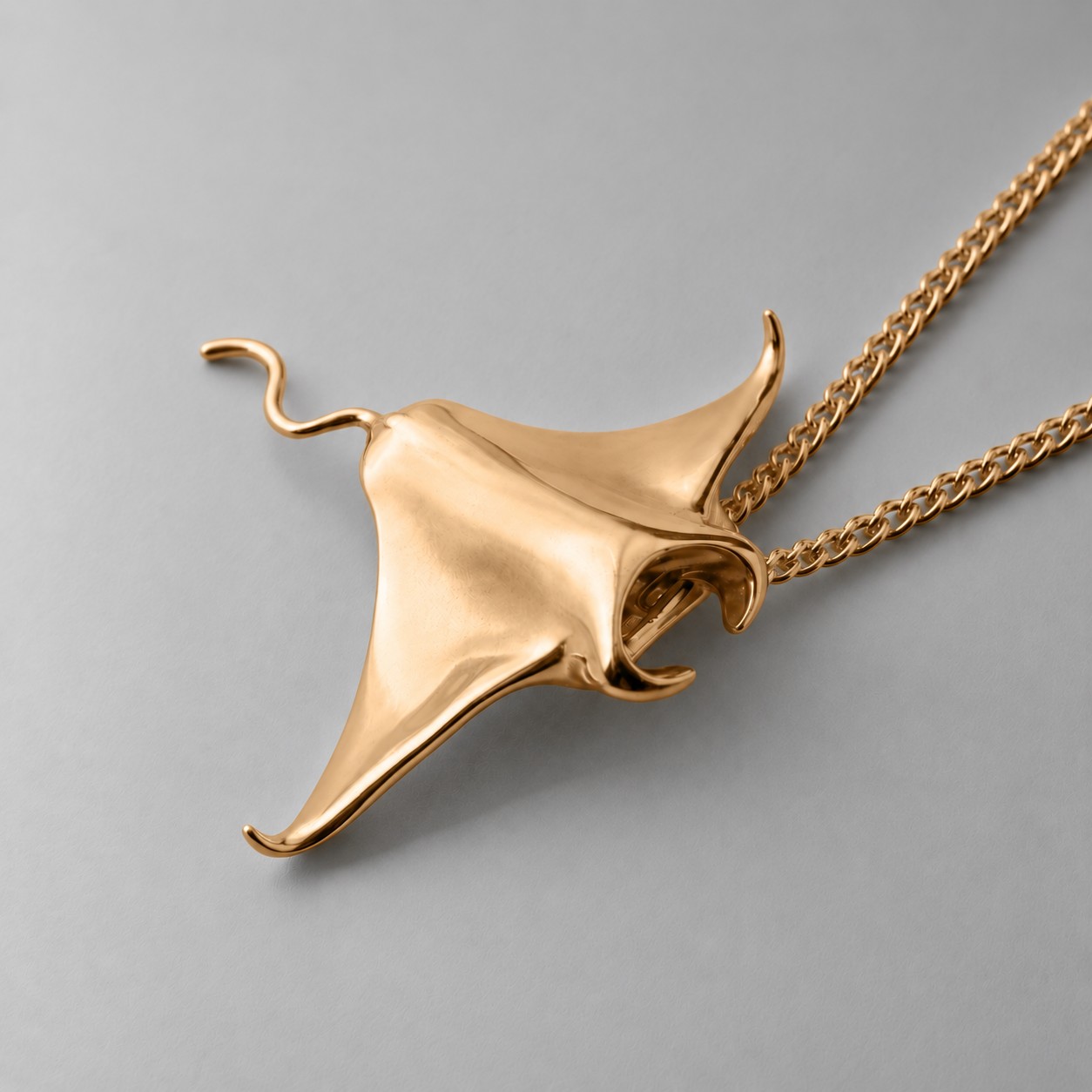 Large Manta Ray - Image 4