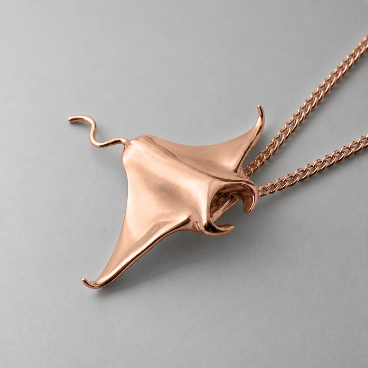 Large Manta Ray - Image 6