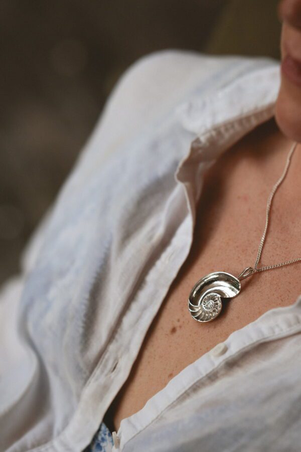 Large Nautilus Shell - Image 7