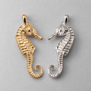 Large Seahorse