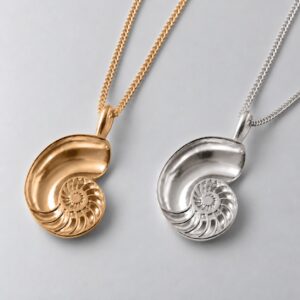 Medium Nautilus Shell