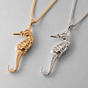 Medium Seahorse