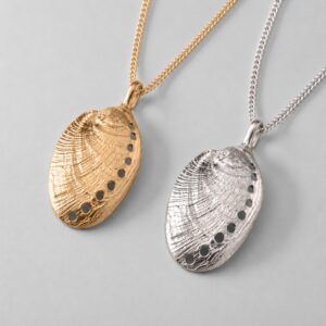 Paua Shell