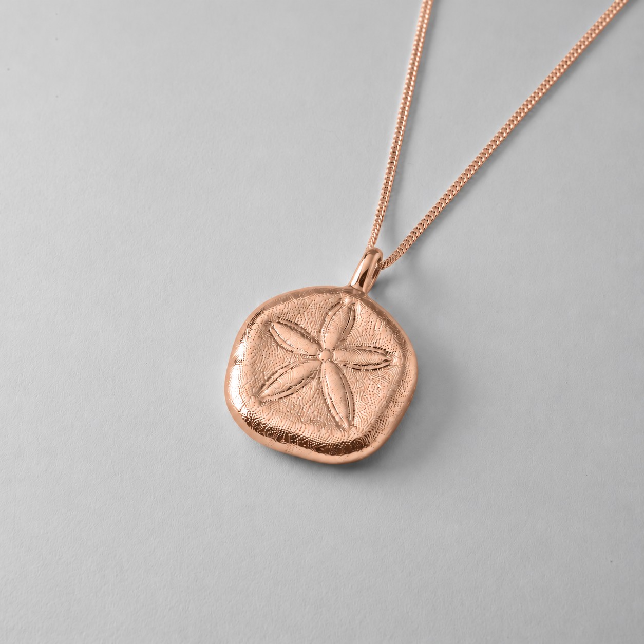 Queensland Sand Dollar - Image 7