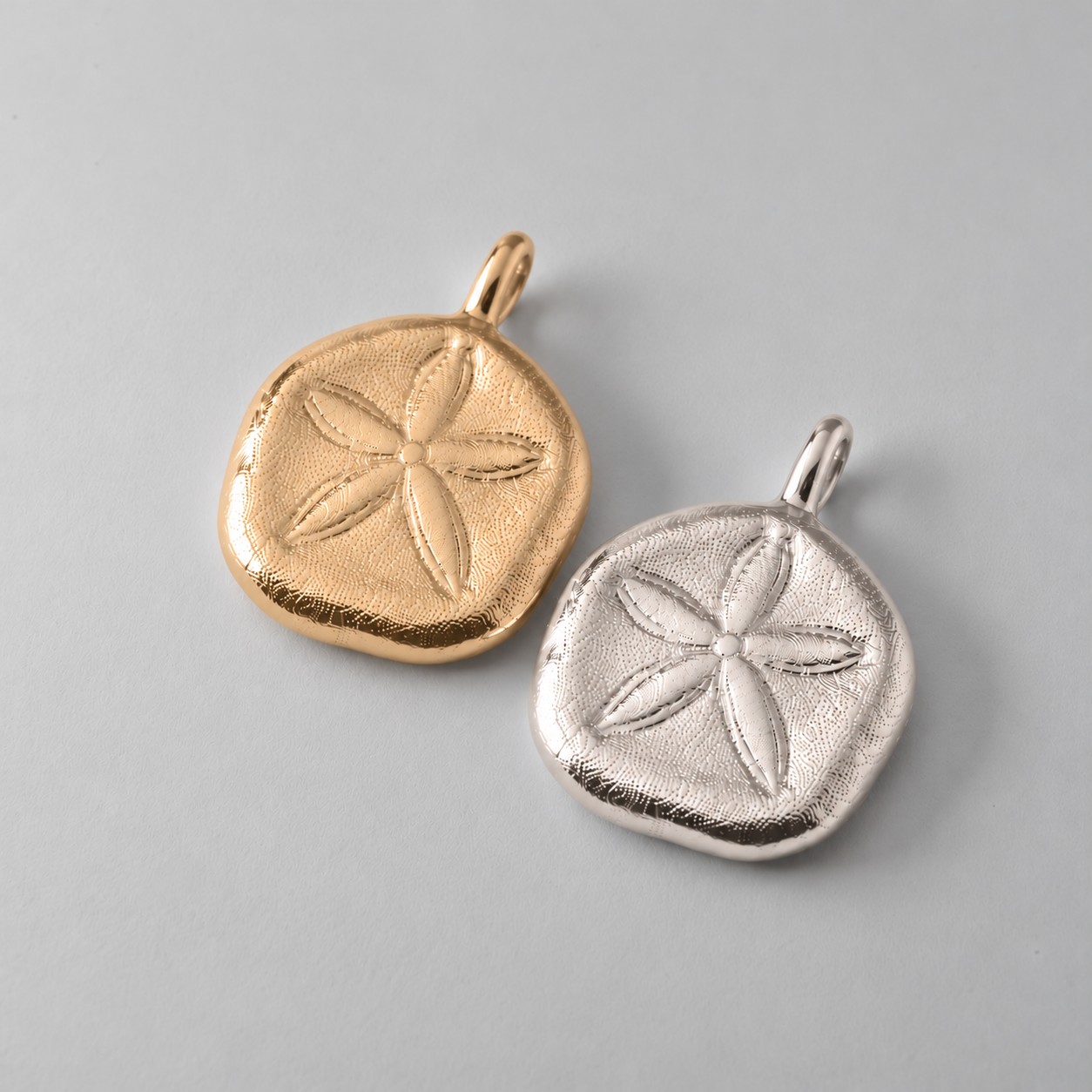 Queensland Sand Dollar - Image 2