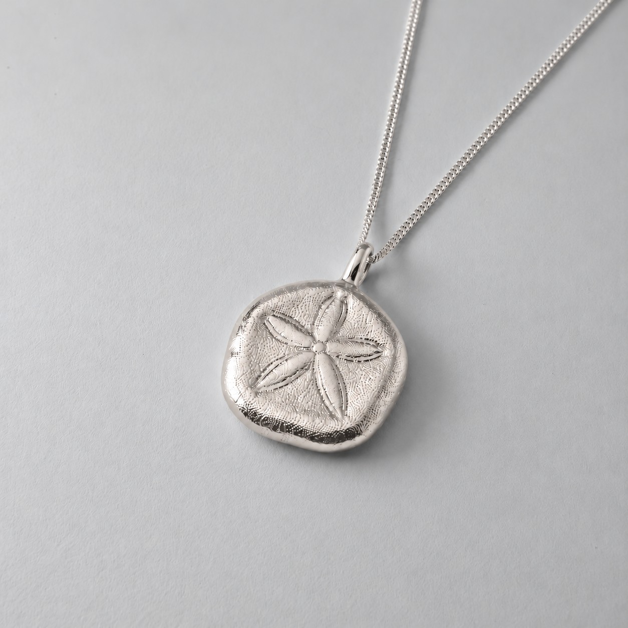Queensland Sand Dollar